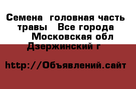 Семена (головная часть))) травы - Все города  »    . Московская обл.,Дзержинский г.